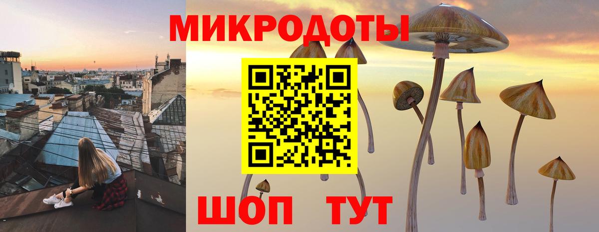 Галлюциногенные грибы Psilocybe  хочу наркоту  Лесозаводск  Псилоцибиновые грибы Magic Shrooms  Вход с VPN 