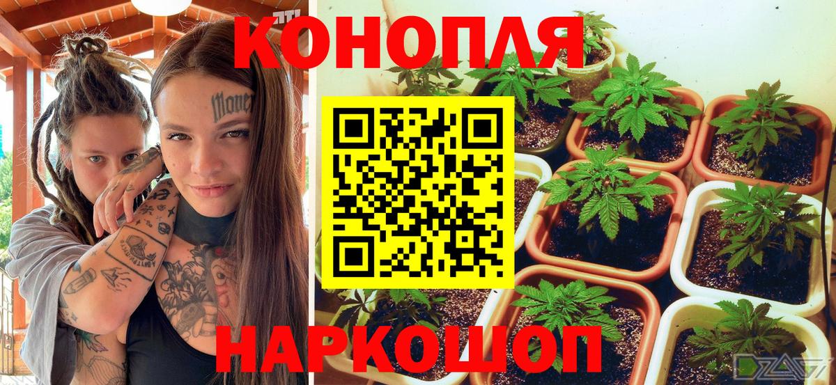Канабис White Widow Лесозаводск